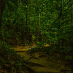 ¿Conoce el turismo regenerativo? Descubra cómo vivir una nueva experiencia turística en armonía con el entorno