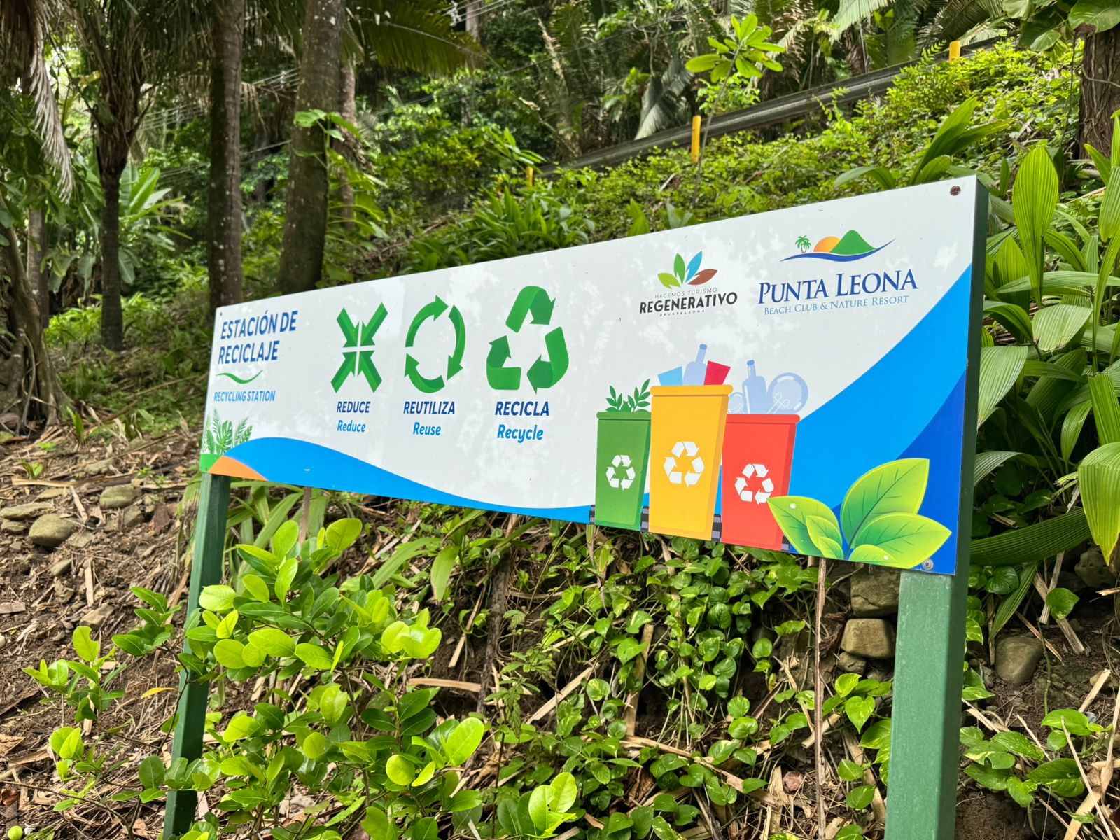 WhatsApp Image 2025-06-05 at 5.17.53 PM